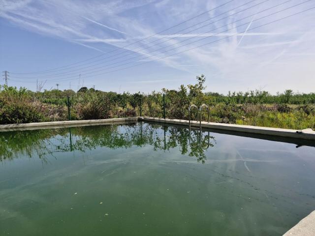 Terreno, La Selva del Camp