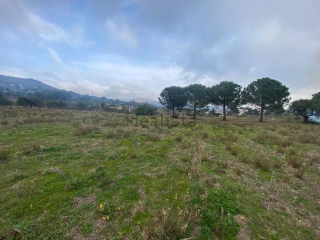 Terreno, La Selva del Camp