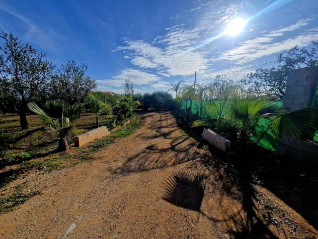 Terreno, La Selva del Camp