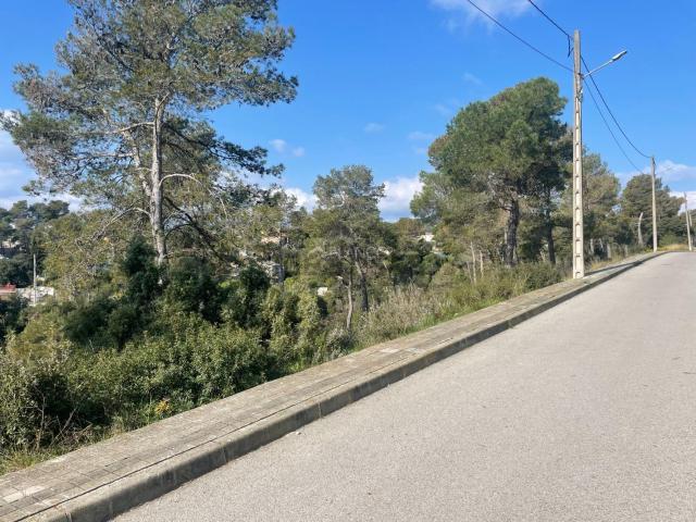 Terreno, La Torre de Claramunt