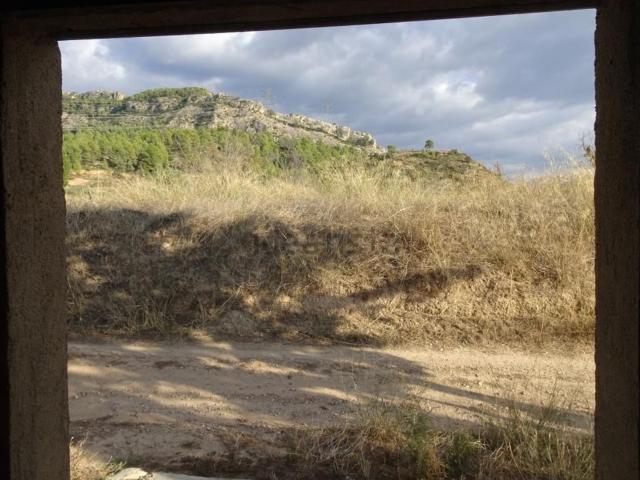 Terreno, La Torre de l&apos Espanyol