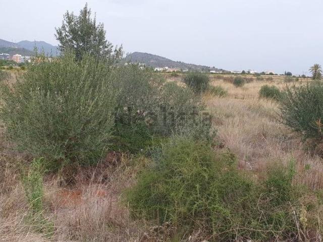 Terreno, La Vall d&apos Uixo