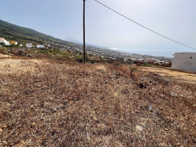 Terreno, La Victoria de Acentejo