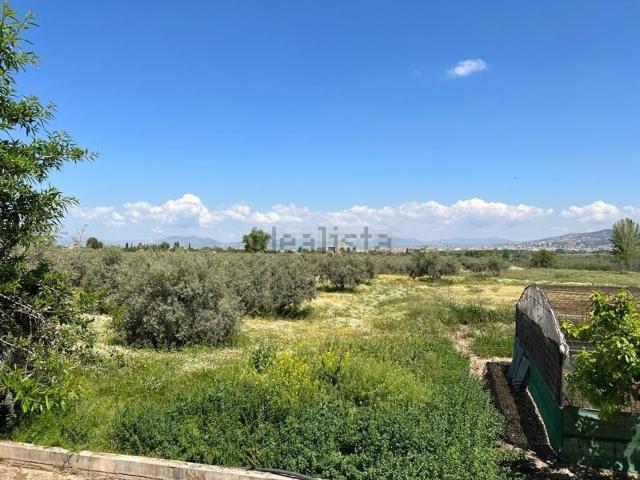 Terreno, La Zubia