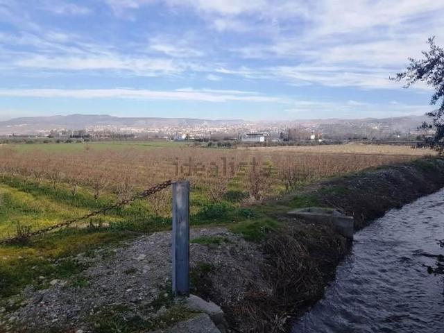 Terreno, La Zubia