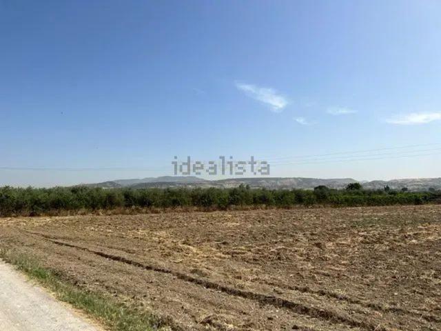 Terreno, La Zubia