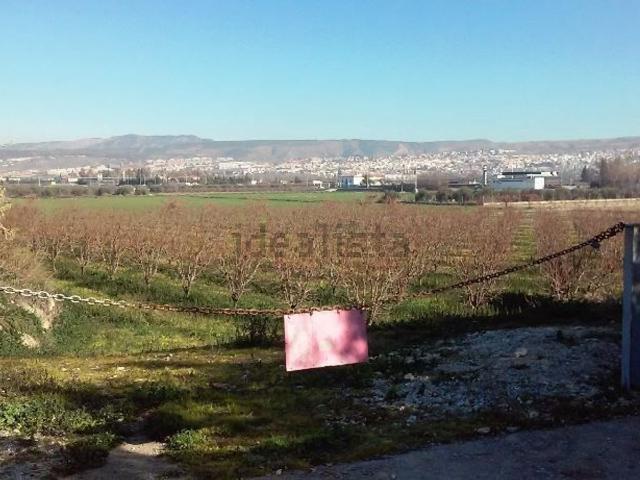 Terreno, La Zubia
