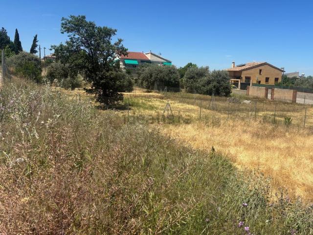 Terreno, La Zubia