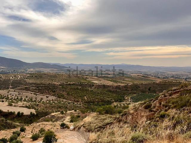 Terreno, La Zubia