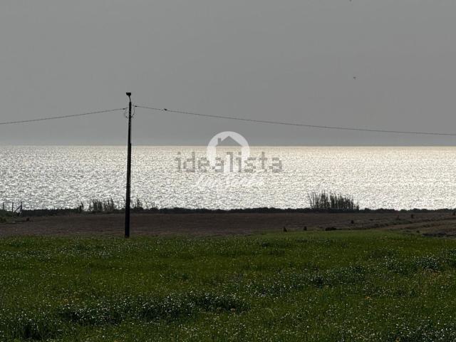 Terreno, Labruge