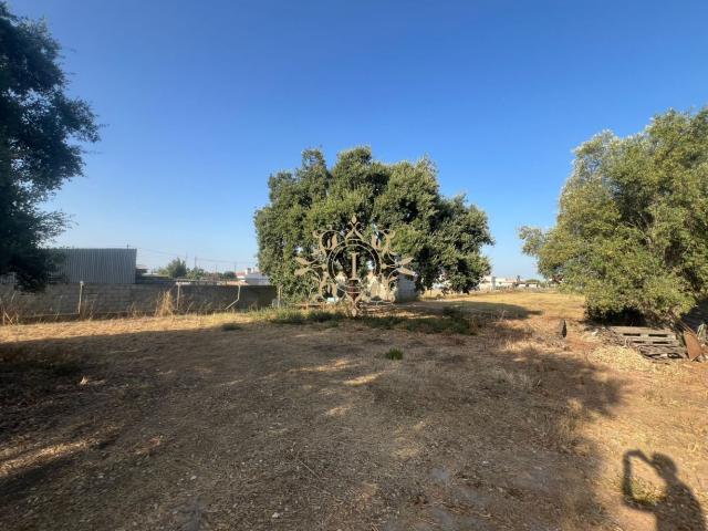 TERRENO LAGOA DA PALHA