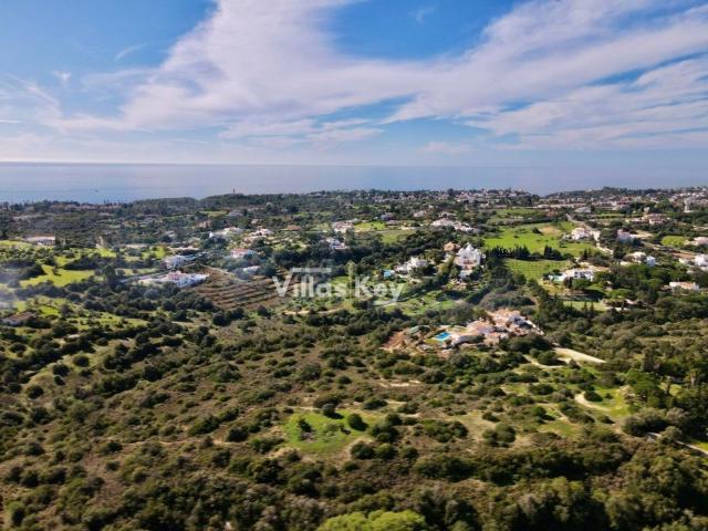 Terreno, Lagoa e Carvoeiro