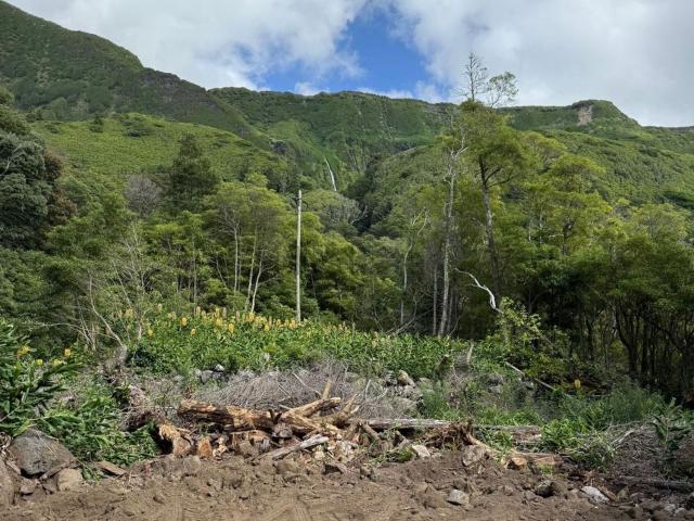 Terreno, Lajes das Flores
