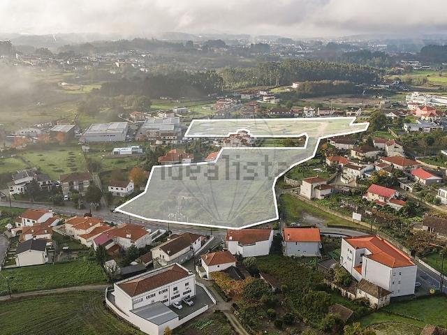 Terreno, Lamoso