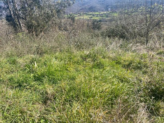 Terreno, Langreo