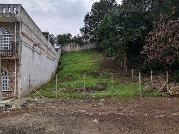 Terreno Las Trancas