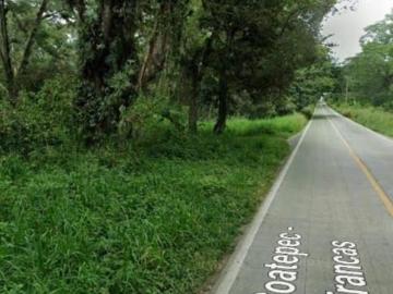 Terreno Las Trancas