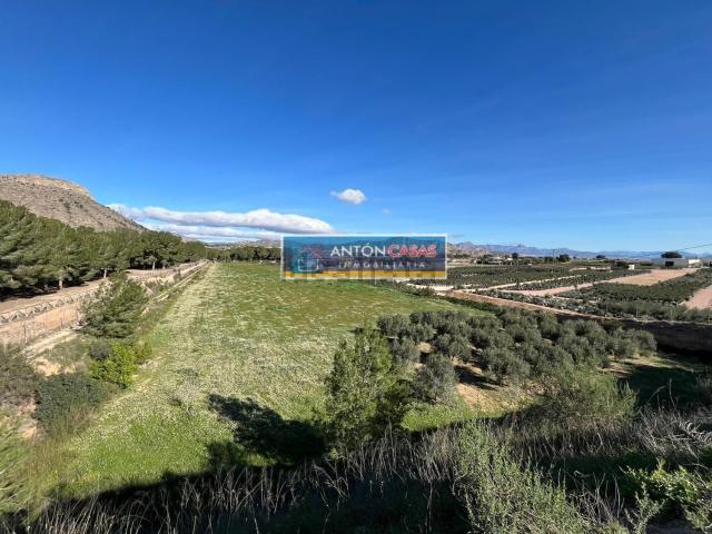 Terreno, Las Fuentes Los Cipreses, Aspe