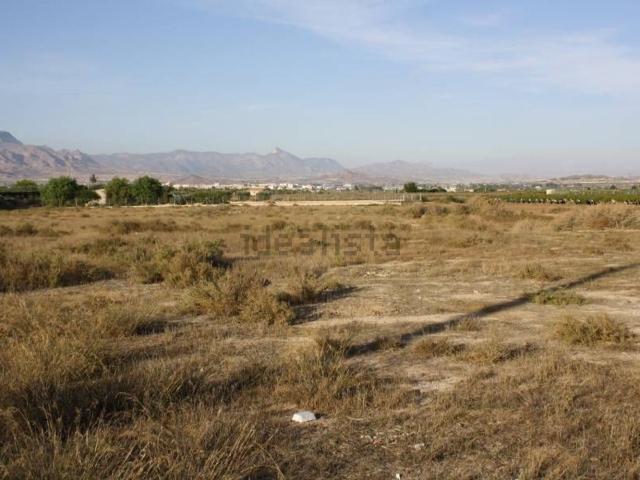 Terreno, Las Fuentes Los Cipreses, Aspe
