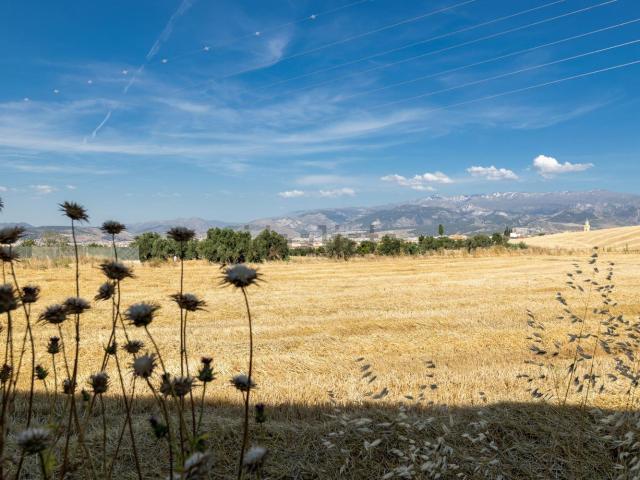 Terreno, Las Gabias
