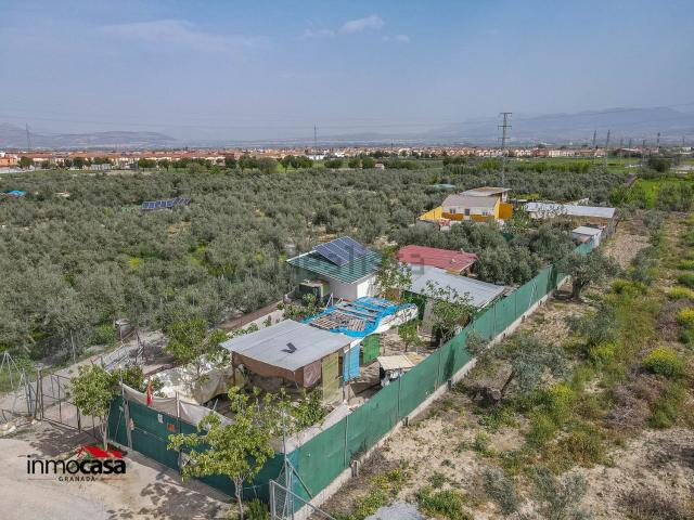 Terreno, Las Gabias