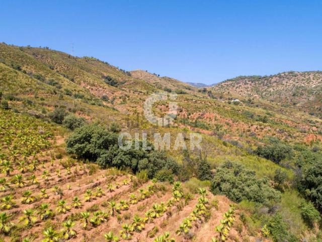 Terreno, Las Lomas, Estepona
