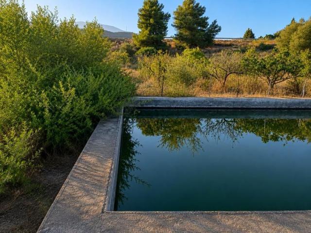 Terreno, Las Lomas, Estepona