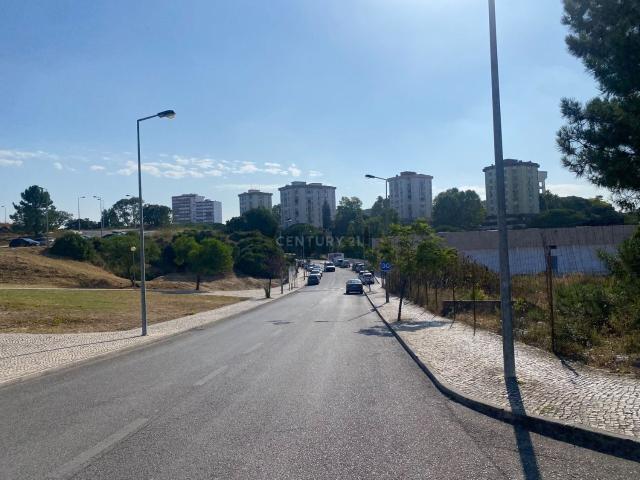 Terreno, Laranjeiro e Feijó