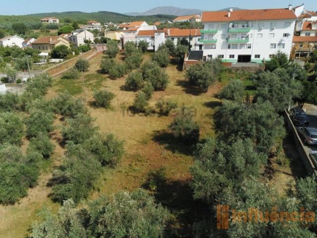 Terreno, Leça do Balio