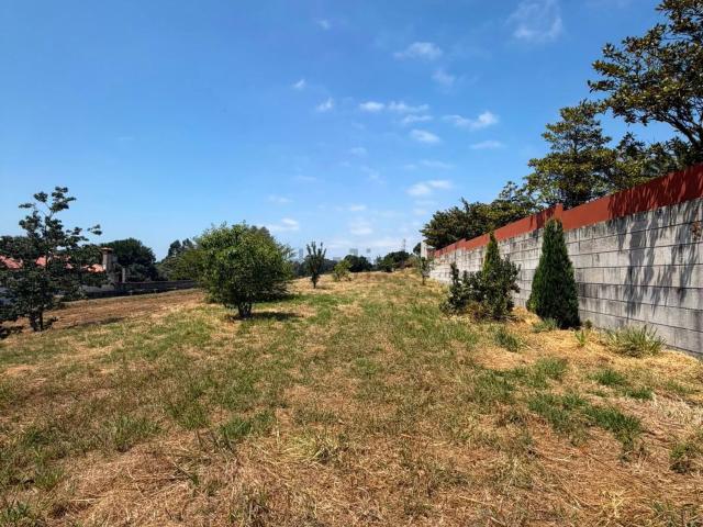 Terreno, Leça do Balio