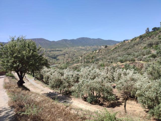 Terreno, Lecrin