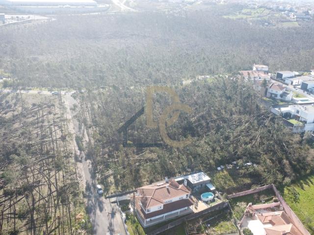 Terreno, Leiria,Pousos, Barreira e Cortes, Leiria | BPI Expresso Imobiliário