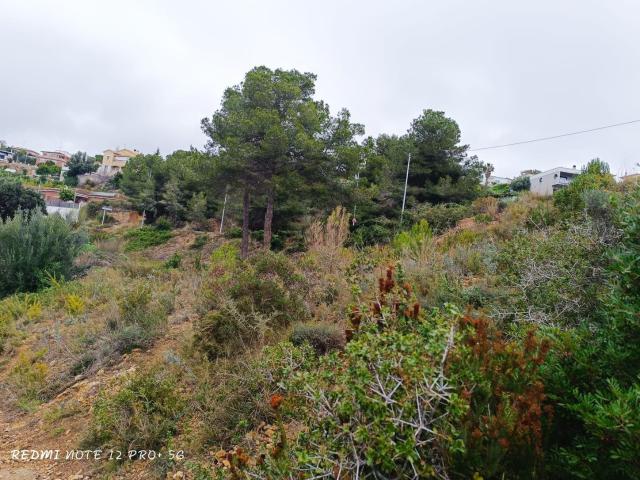 Terreno, Les Brises de Calafell Segur de Dalt, Calafell