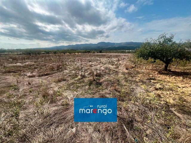Terreno, Les Coves de Vinromà