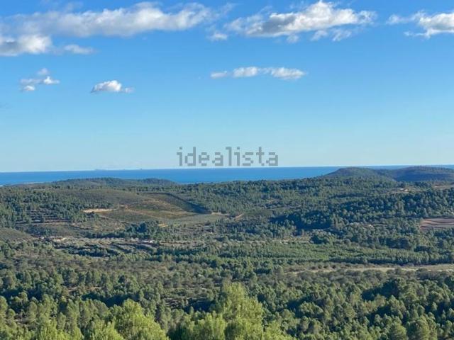 Terreno, Les Coves de Vinromà