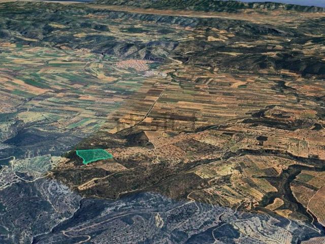 Terreno, Les Coves de Vinromà