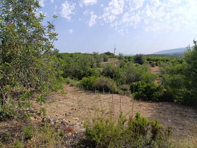 Terreno, Les Coves de Vinromà