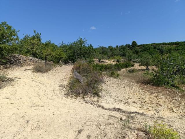 Terreno, Les Coves de Vinromà