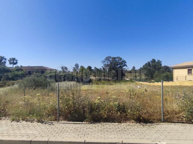 Terreno, Lepe