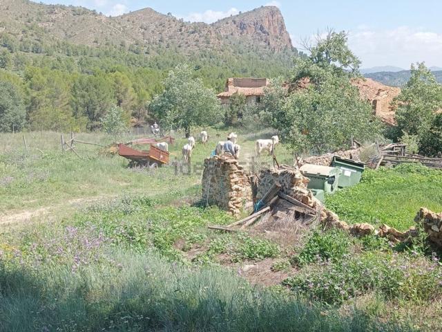 Terreno, Letur