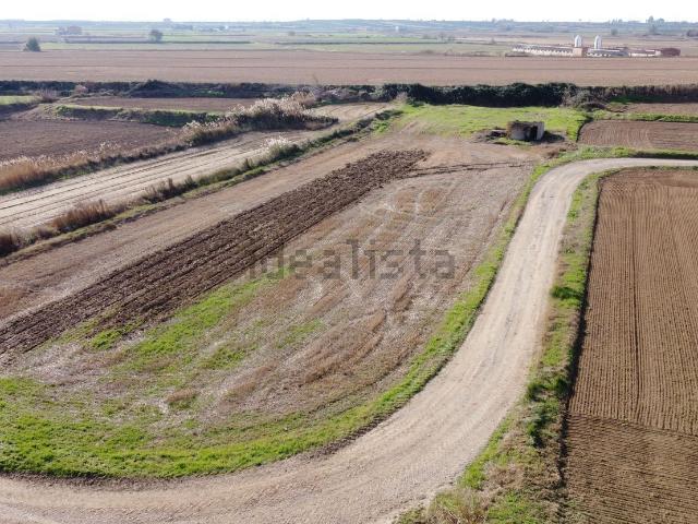 Terreno, Linyola