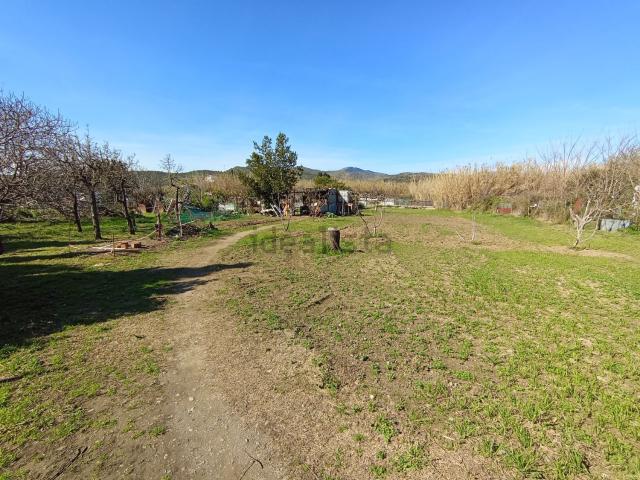 Terreno, Llançà