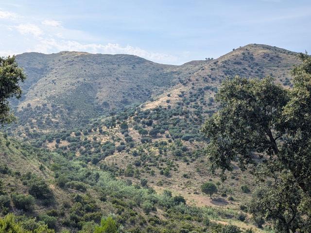 Terreno, Llançà