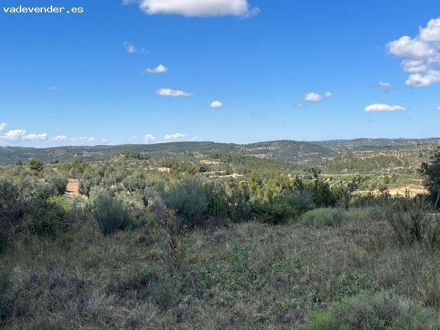 Terreno llano en Calaceite