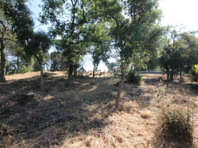 Terreno, Llagostera