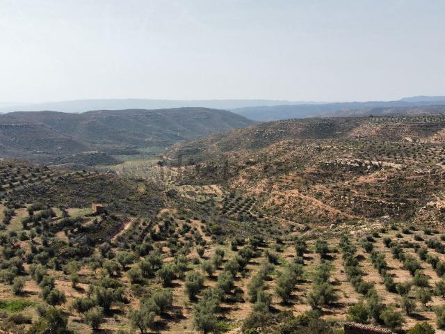 Terreno, Llardecans