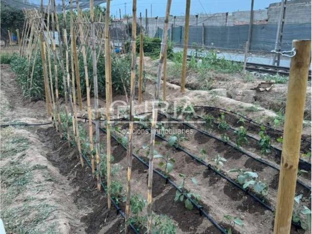 Terreno, Lleida