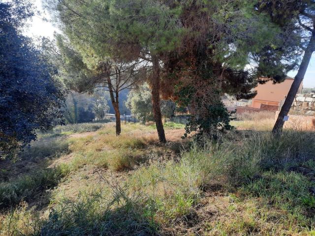 Terreno, Lliçà d&apos Amunt