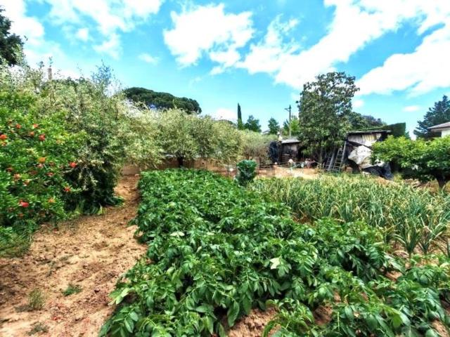 Terreno, Lliçà d&apos Amunt
