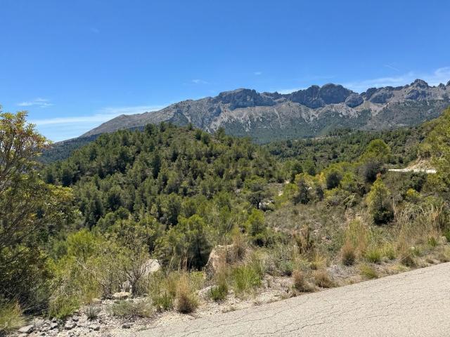 Terreno, Llíber
